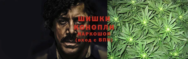 МДПВ Нягань