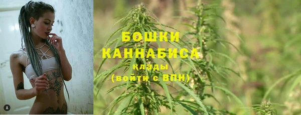 метадон Няндома