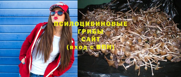 метадон Няндома