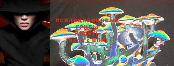 метадон Няндома