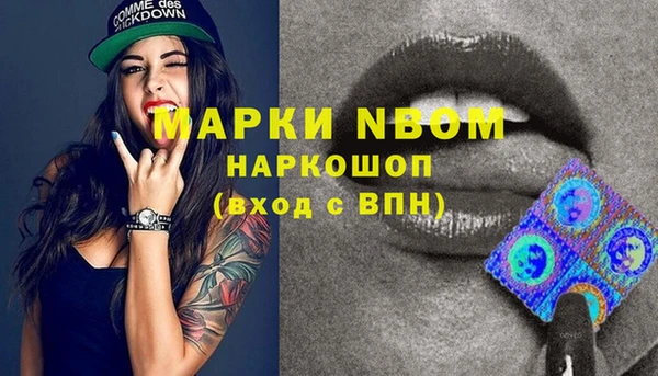 метадон Няндома