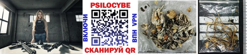 Псилоцибиновые грибы мицелий Райчихинск